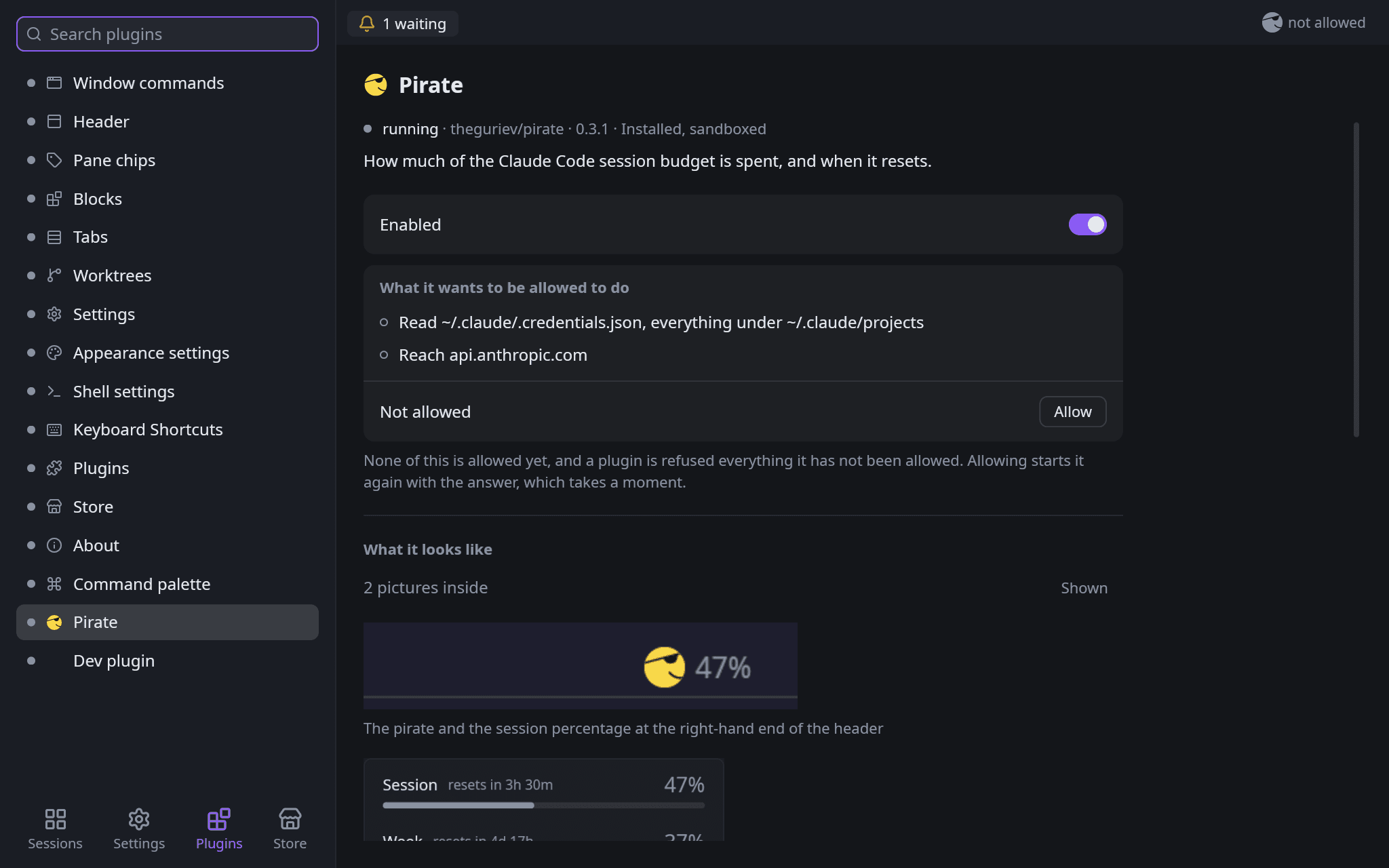 The Plugins page: the Pirate's card with the two things it asks to be allowed, an Allow button beside them, and the pictures it carries under What it looks like